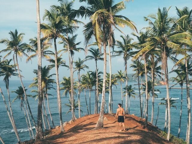 free agent adult players on holiday